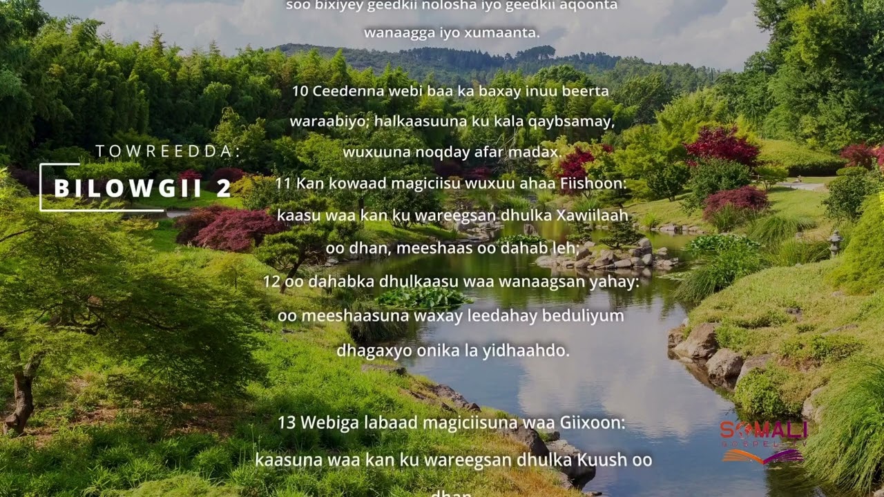 TOWREEDDA: Bilowgii 2