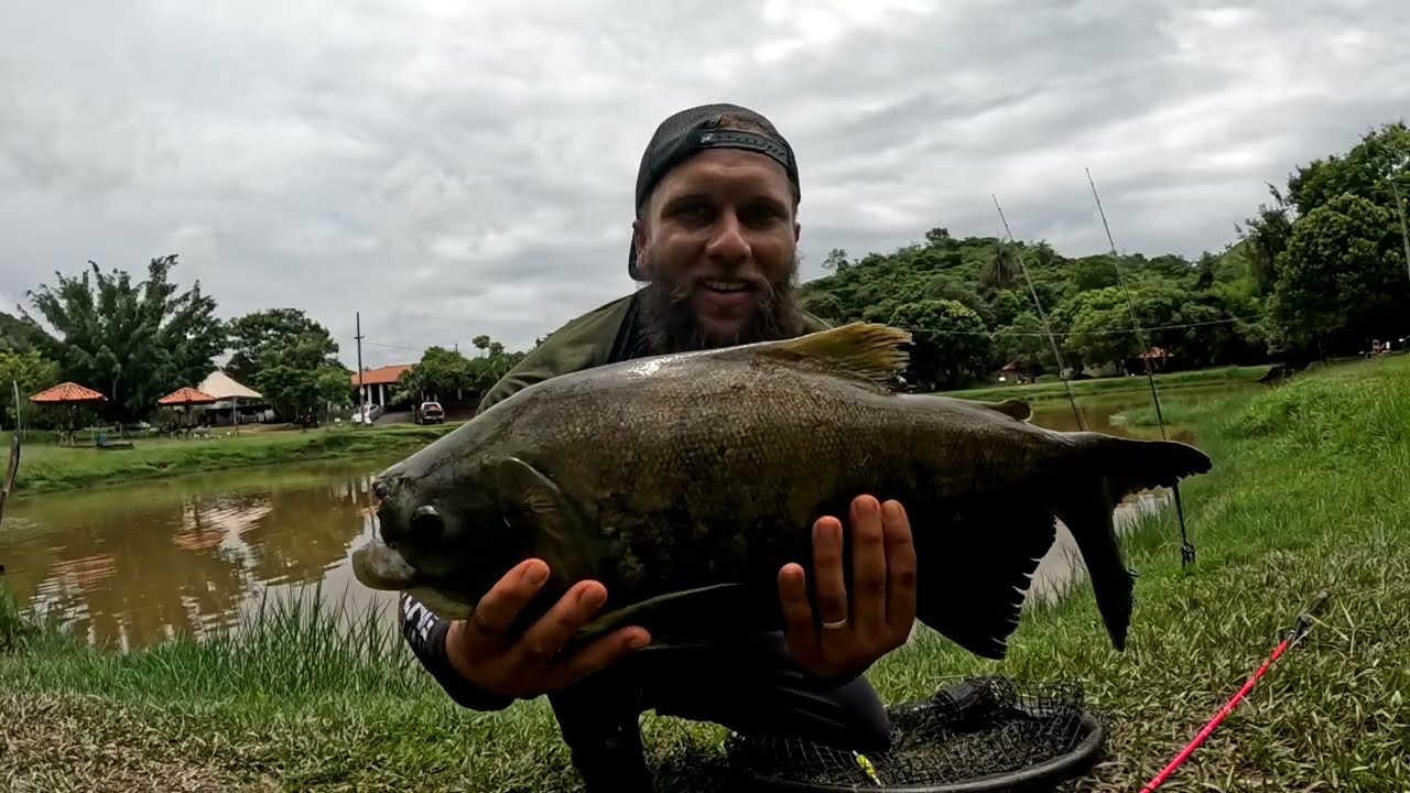 BRIGA BOA DEMAIS! TAMBA NA LINHA! 🎣🔥🔥🔥#fishing #fish #pescaria #pesca @MaruriFishing 