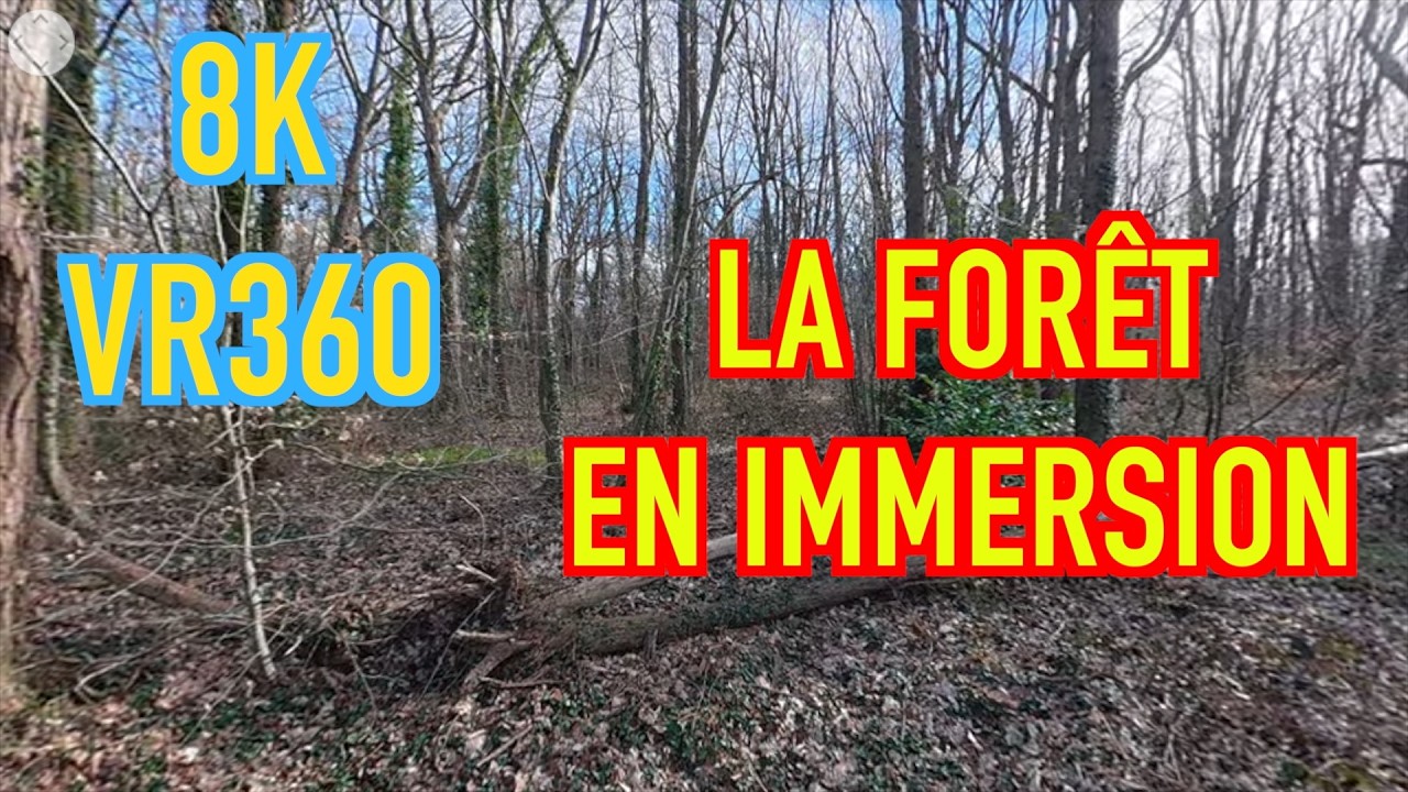 VR360 -  LA FORÊT au jour le jour - 24 février 2026