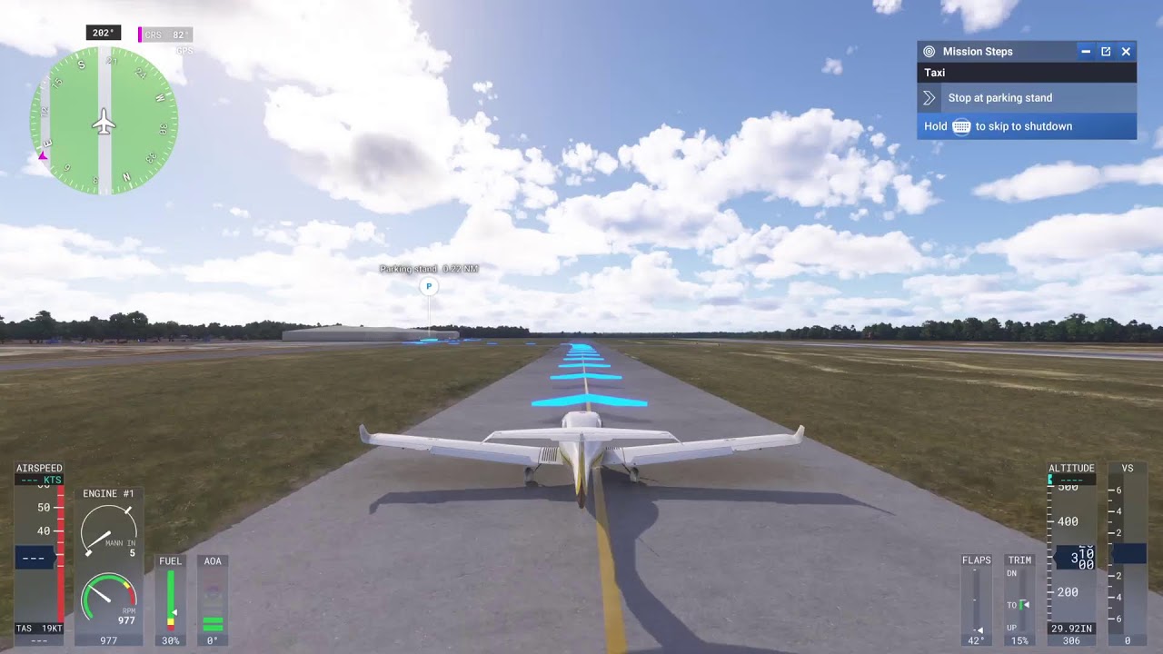 MSFS: First Flight - Flying guests over Eastman, GA