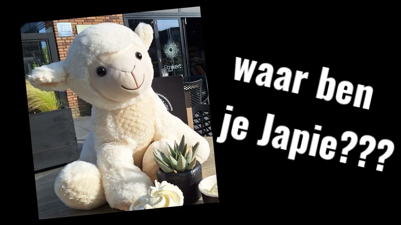 Op zoek naar Japie Schapie! 1