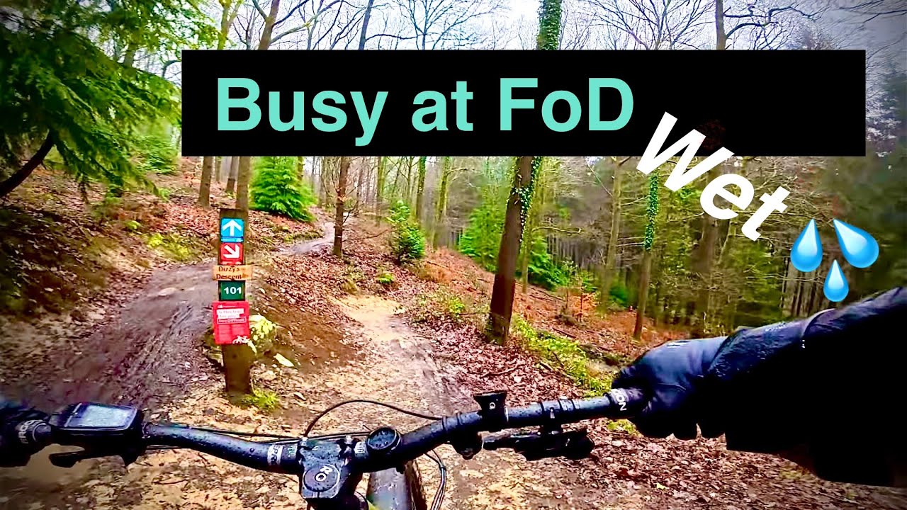 Cat 🐈 reflexes to avoid puddles 💦 Trail Today: FOD