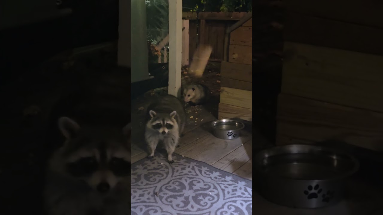 The goal is to make Carl's butt as big as possible.