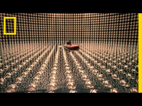 Stalking the Wild Nutrino | Cosmos: A Spacetime Odyssey