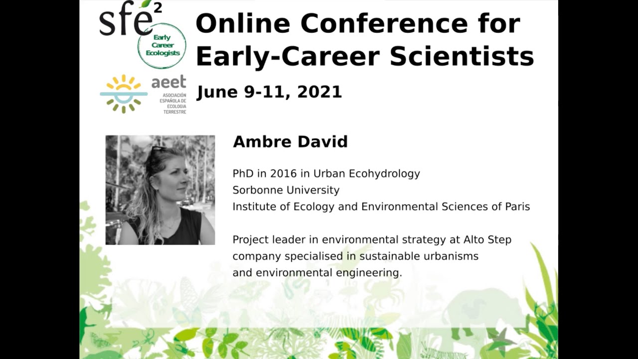 AEET-SFE2 - Ambre David (Academic skills session)