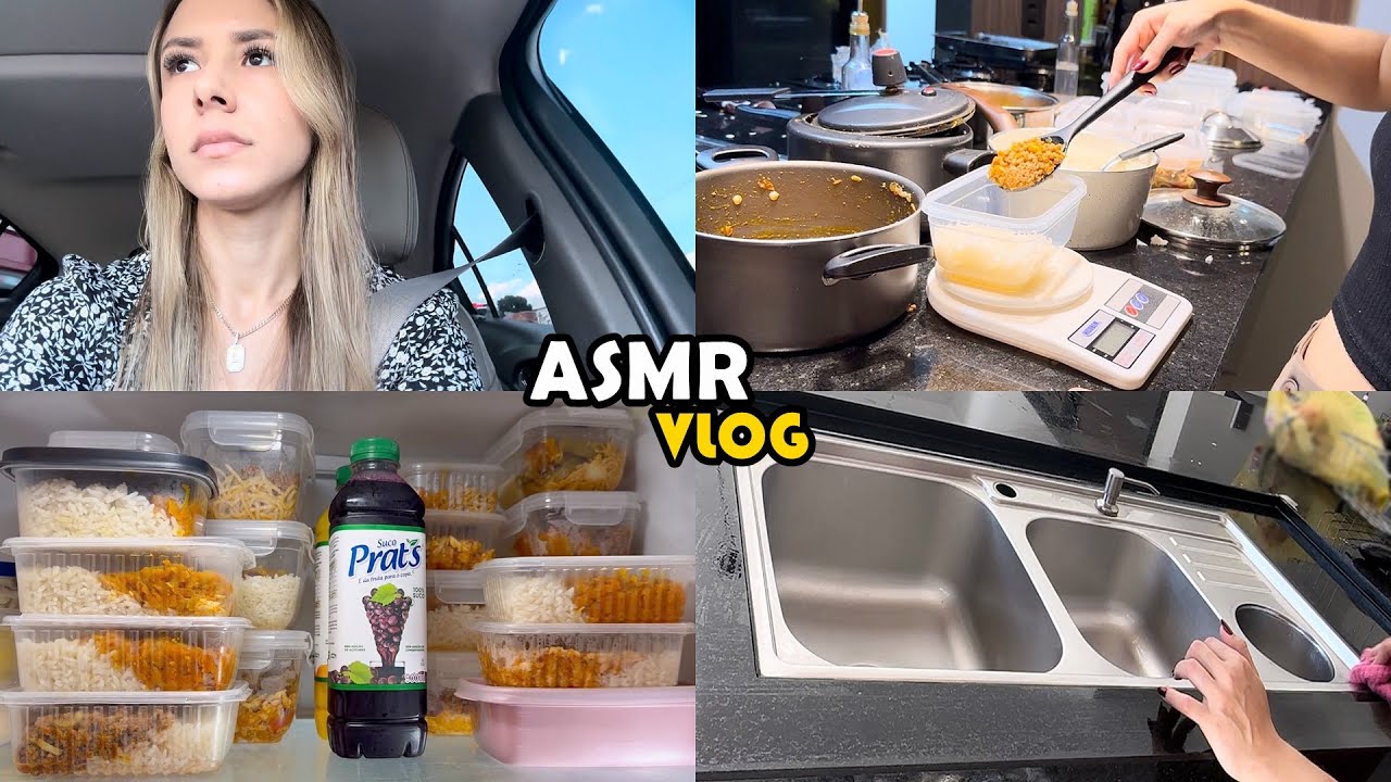 ASMR VLOG - VIDA REAL DE UMA DONA DE CASA COM MANIA DE LIMPEZA E ORGANIZAÇÃO (vídeo satisfatório)