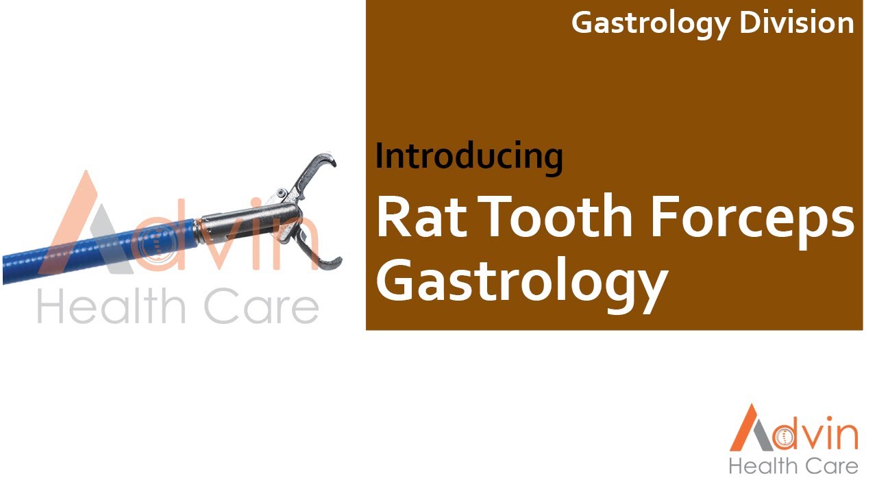 Rat Tooth Forceps