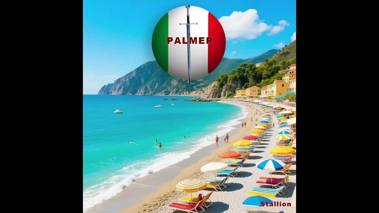 Palmer - The Stallion