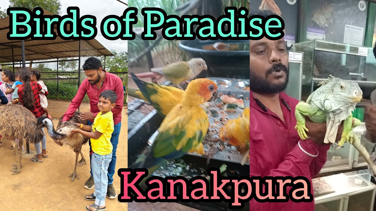 Birds of Paradise Foundation 🦜🦤🌿 | Kanakapura #birds #animals#ytshorts #ytvedios #mdvlogsinkannada