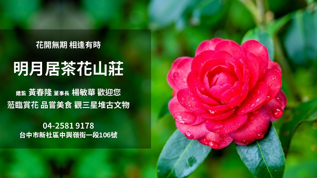 明月居茶花山莊第二輯(1080P)