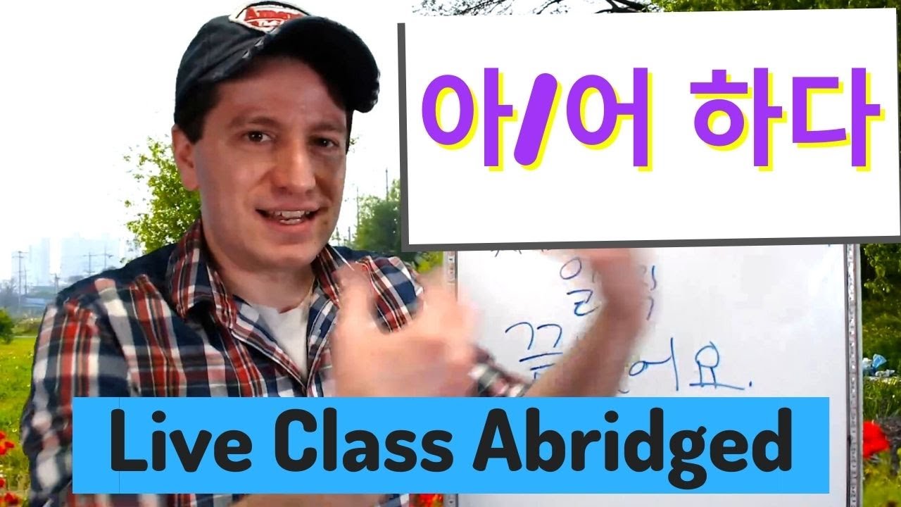 "To seem" ~아/어/etc. 하다 (싶다 & 싶어 하다) | Live Class Abridged