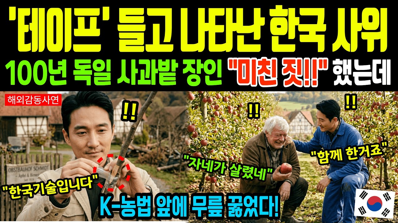 [해외감동사연] 