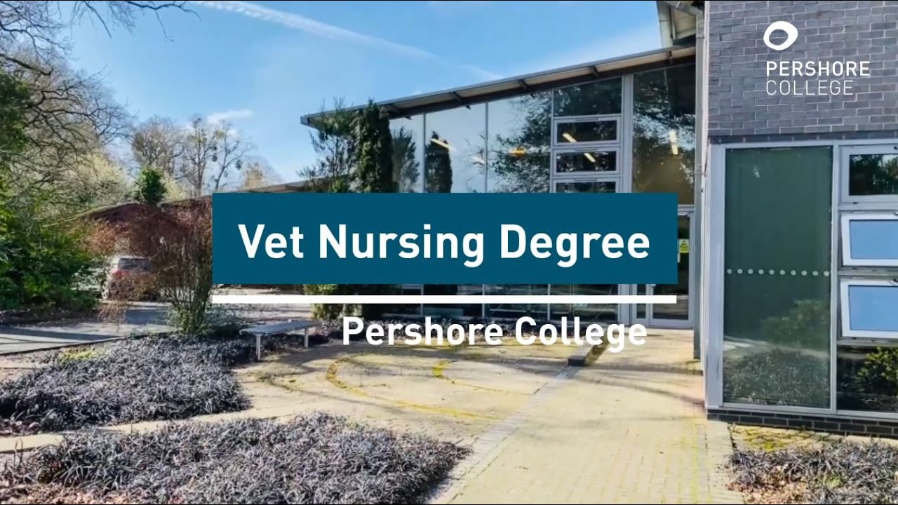 Vet Nursing Degree at Pershore College