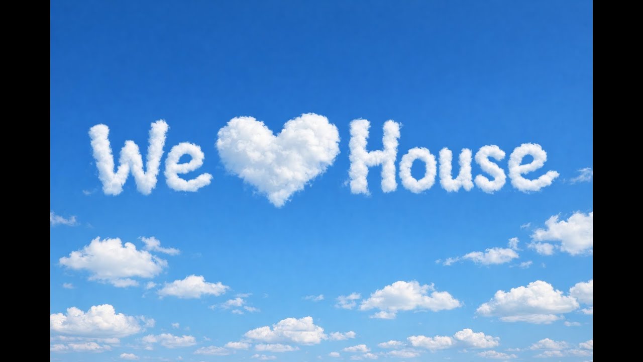 We Love House - Vinyl/Digital DJ SET