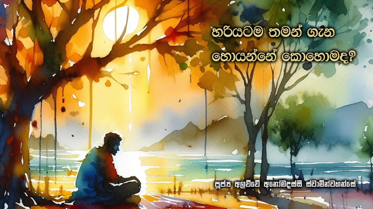 හරියටම තමන් ගැන හොයන්නේ කොහොමද? Ven. Alawwe Anomadassi Thero