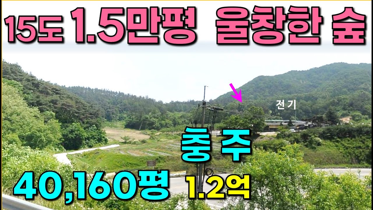 충주 . .40,160평 / 경사 15도 미만 & 보전관리 .. 1.5만평 ,, 전기, 도로가능, 울창한 숲, , 캠핑장, 야영장
