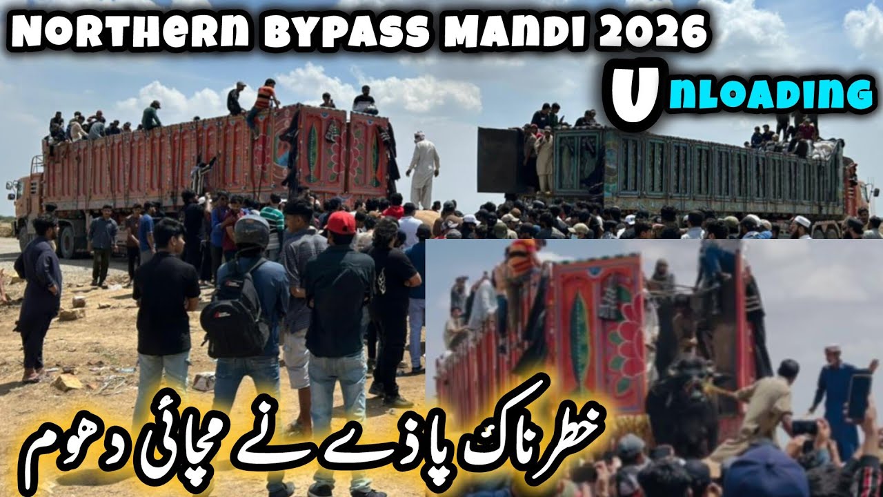 First Truck Unloading Video 2026 | Northern Bypass cow Mandi Karachi #qurbani2026#cow