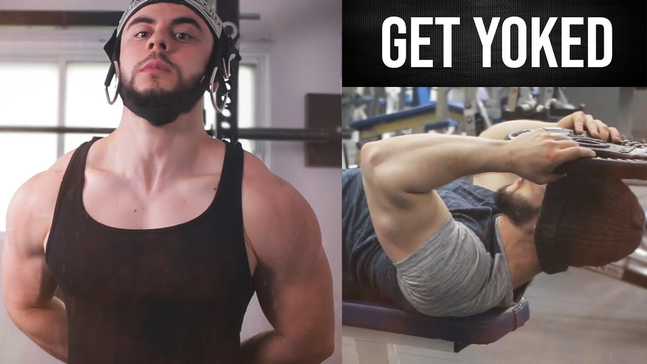 Neck Training 101: Get Yoked!