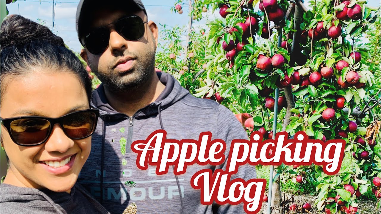 APPLE PICKING AND APPLE FARM VIDEO IN MALAYALAM | AMERICAN MALAYALAM VLOGS | APPLE FARM IN AMERICA