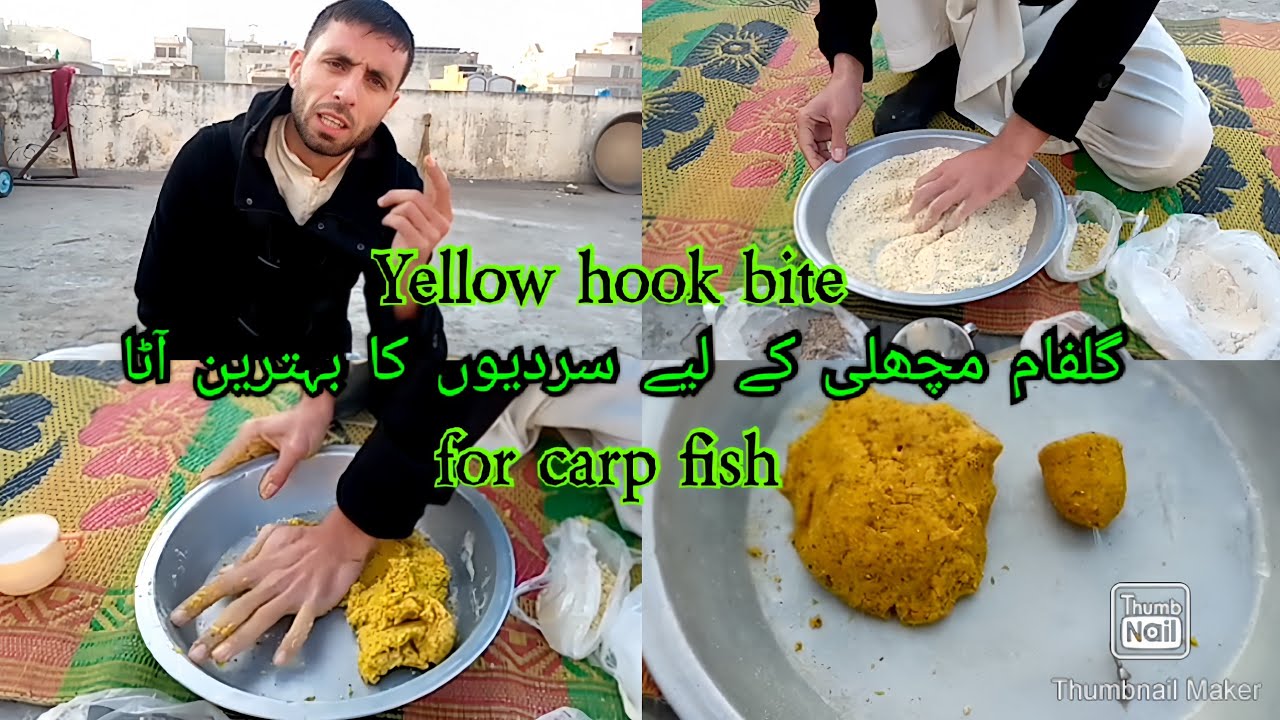 how to make Yellow hook bite||for carp fish||winter bite||khan shikari||