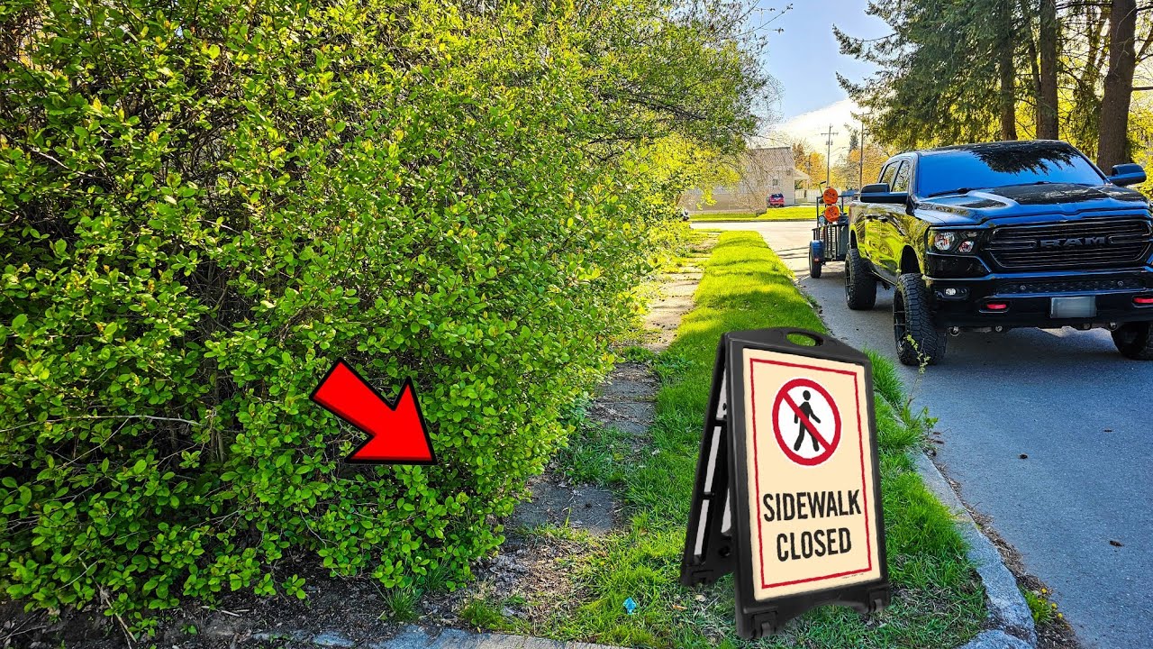 NO WAY This Overgrown Sidewalk Is SAFE To Use | Let's Restore This Mess!