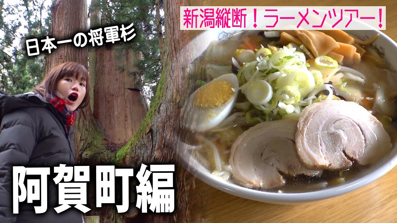 【新潟縦断ラーメンツアー#08】阿賀町編！日本一の将軍杉からのあっさり塩野菜ラーメン＠ラーメン一心亭