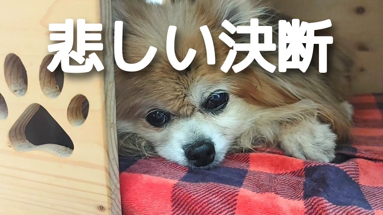 ステージ４の超悪性の癌だった！ 余命宣告は1か月