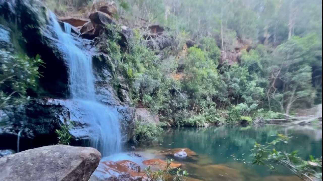 Best of Hidden Blue Mountains Swimming Holes & Waterfalls Grey Hat Falls & Crayfish Pond. “Secret”