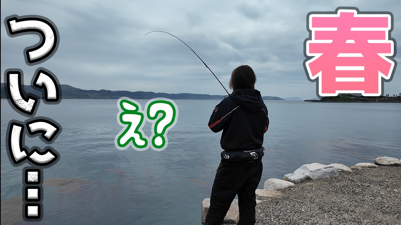 離島の海水浴場で○○が釣れだしました！！そしてスン父登場？！