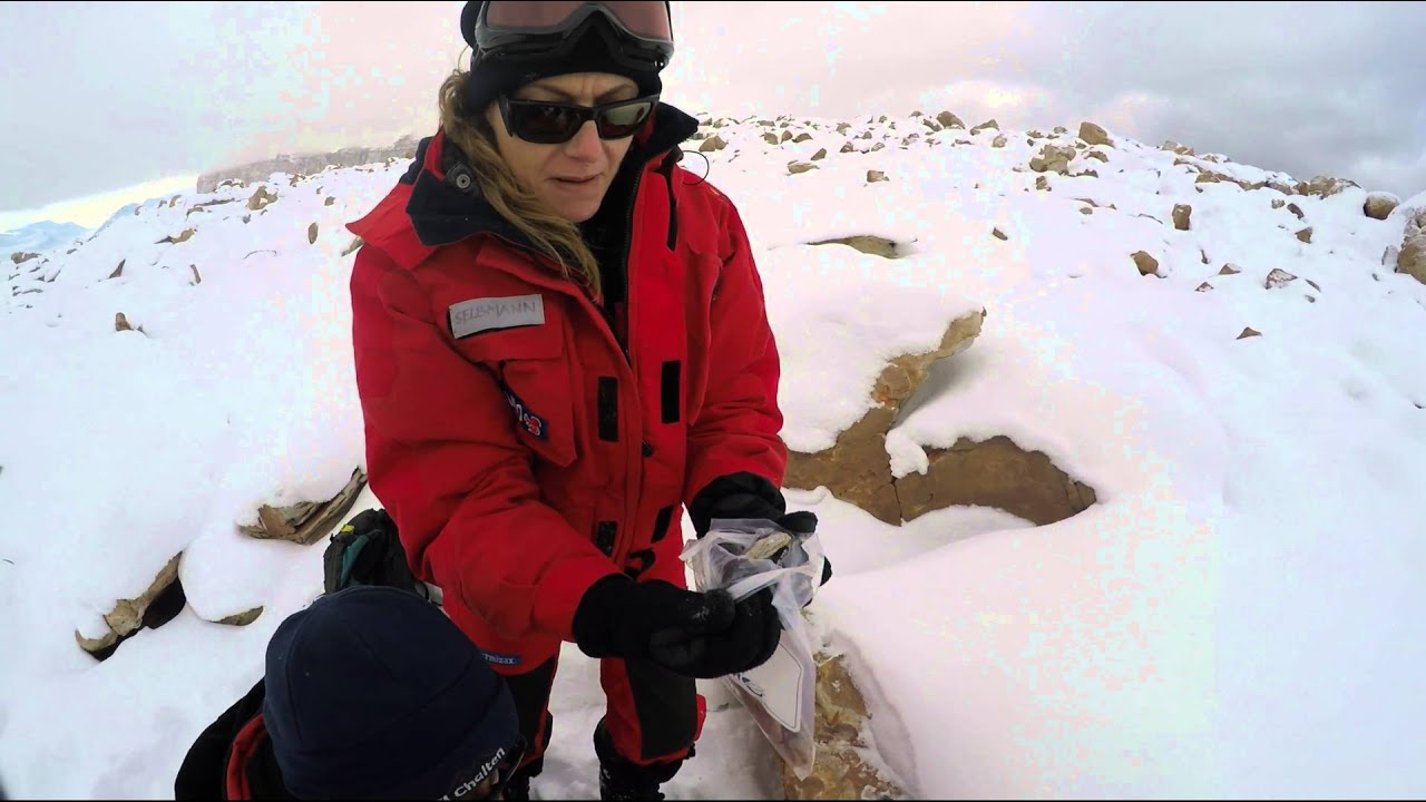Sampling endolithic lichens in the Dry Valleys, Antarctica