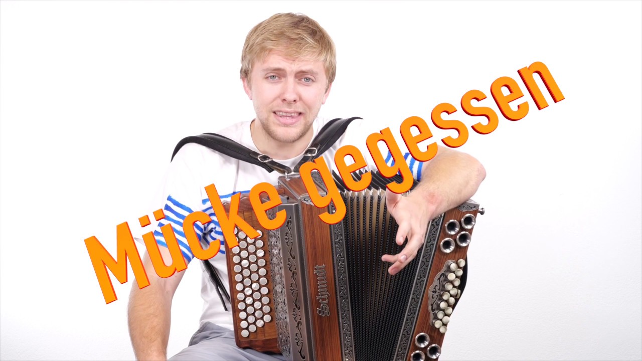 ❌ Andi Gabalier Hits - Steirische Harmonika ❌