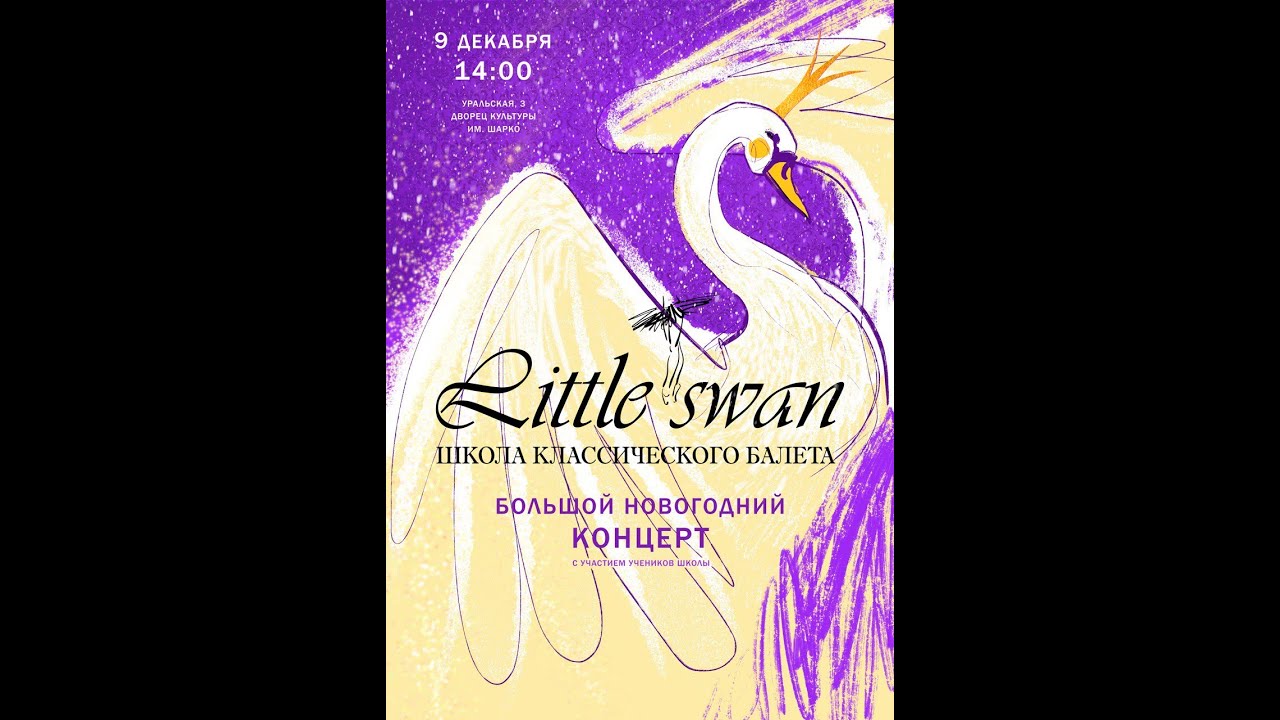 Little swan Большой новогодний концерт 2023