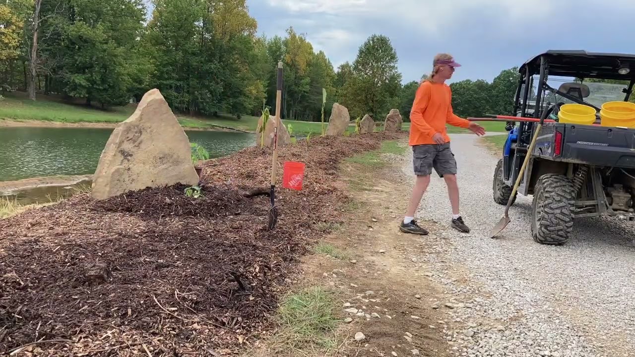 Lanscaping and Planting #excavators