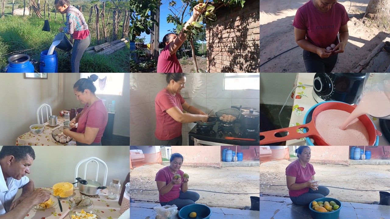 INICIANDO O DIA COM MUITA FARTURA AQUI NO SÍTIO 🙏