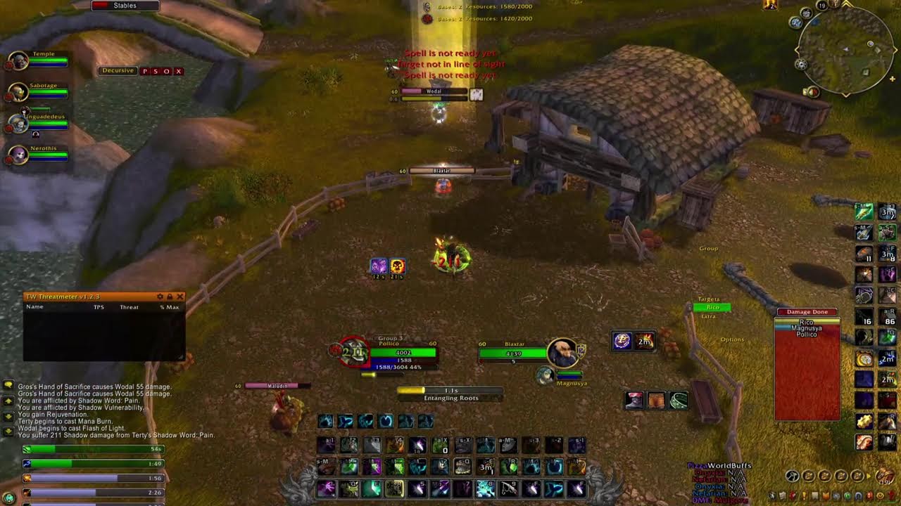 🐢TURTLE WOW SA - 60 DRUID PVP BGS 🐢