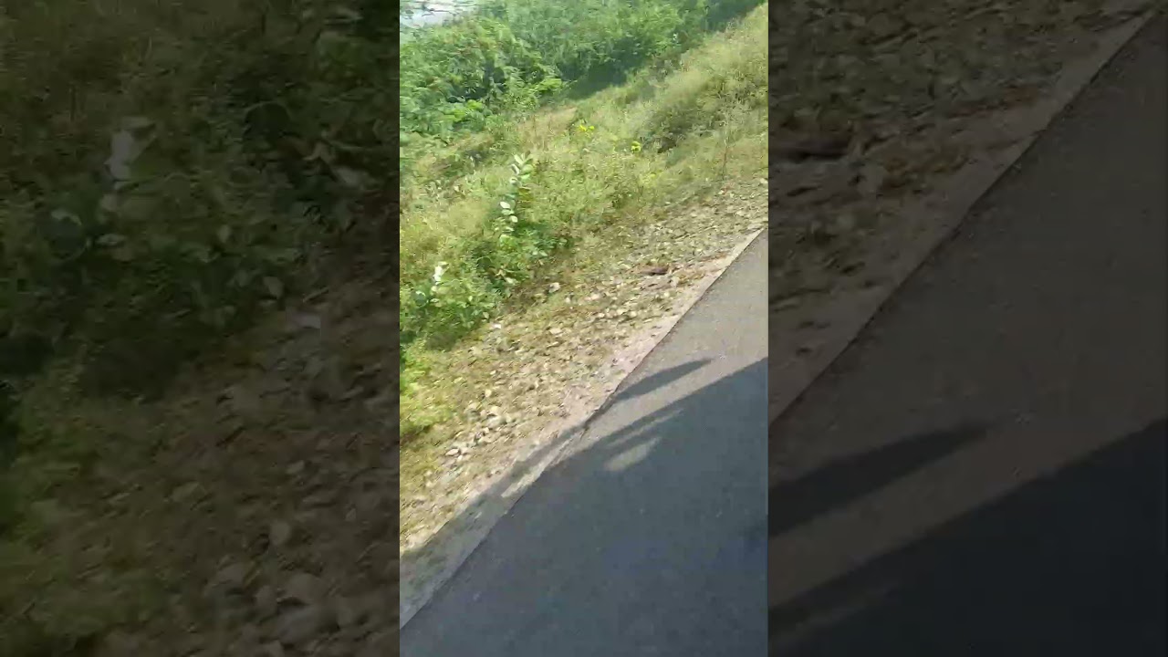 no editing...  real #diwaniyat #vlog #shortfeed @itsriyavlogs #nature