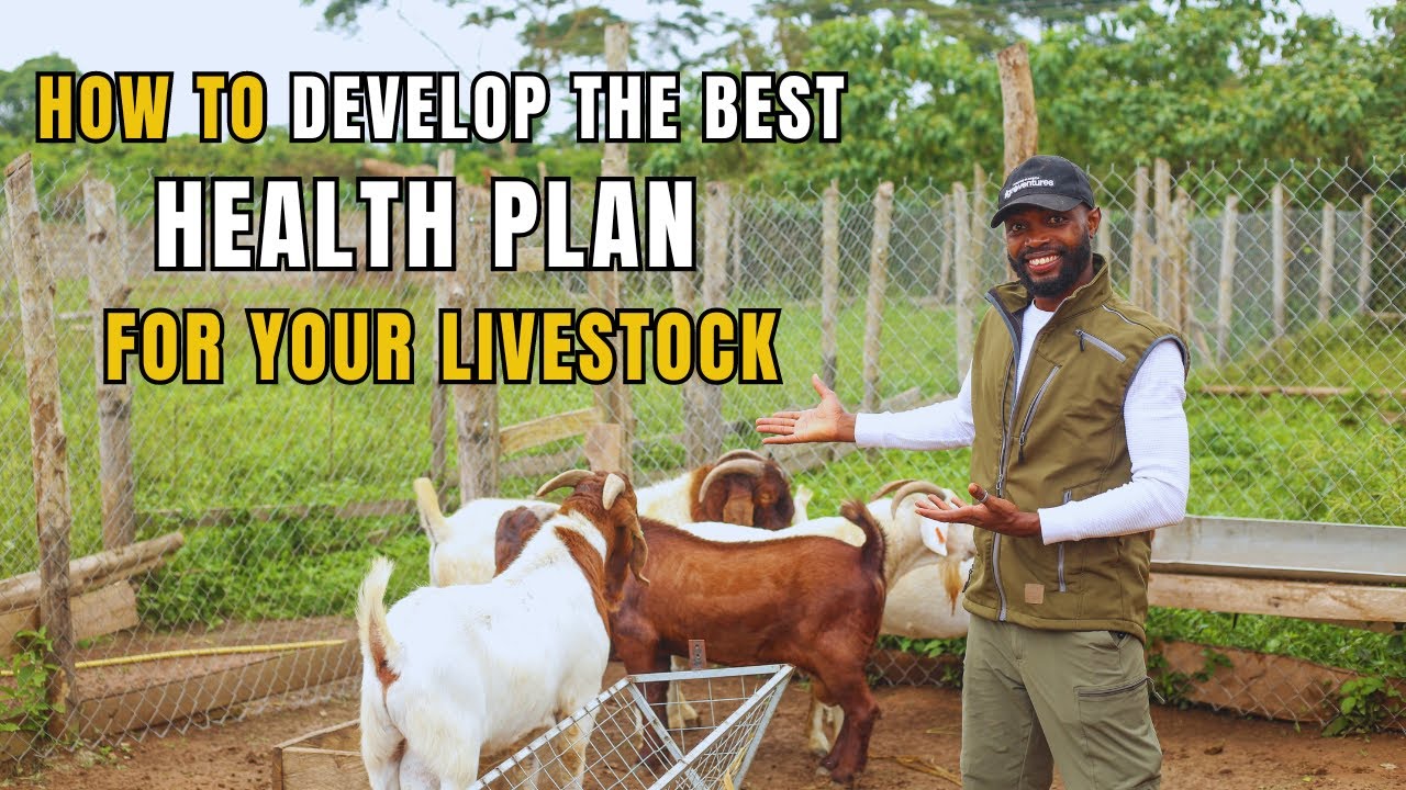 WHAT YOU NEED TO KNOW ABOUT LIVESTOCK HEALTH AND DISEASE PREVENTION