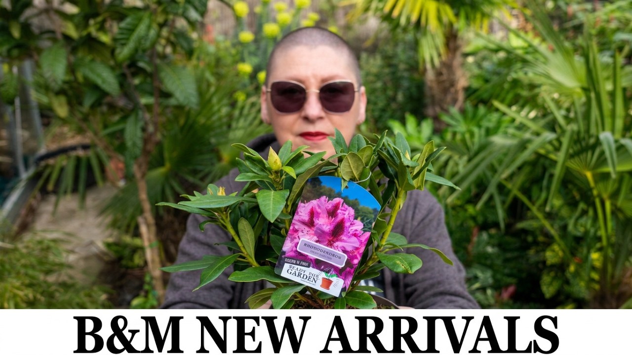 97. Мартовские растения в B&M & Garden Project For Two