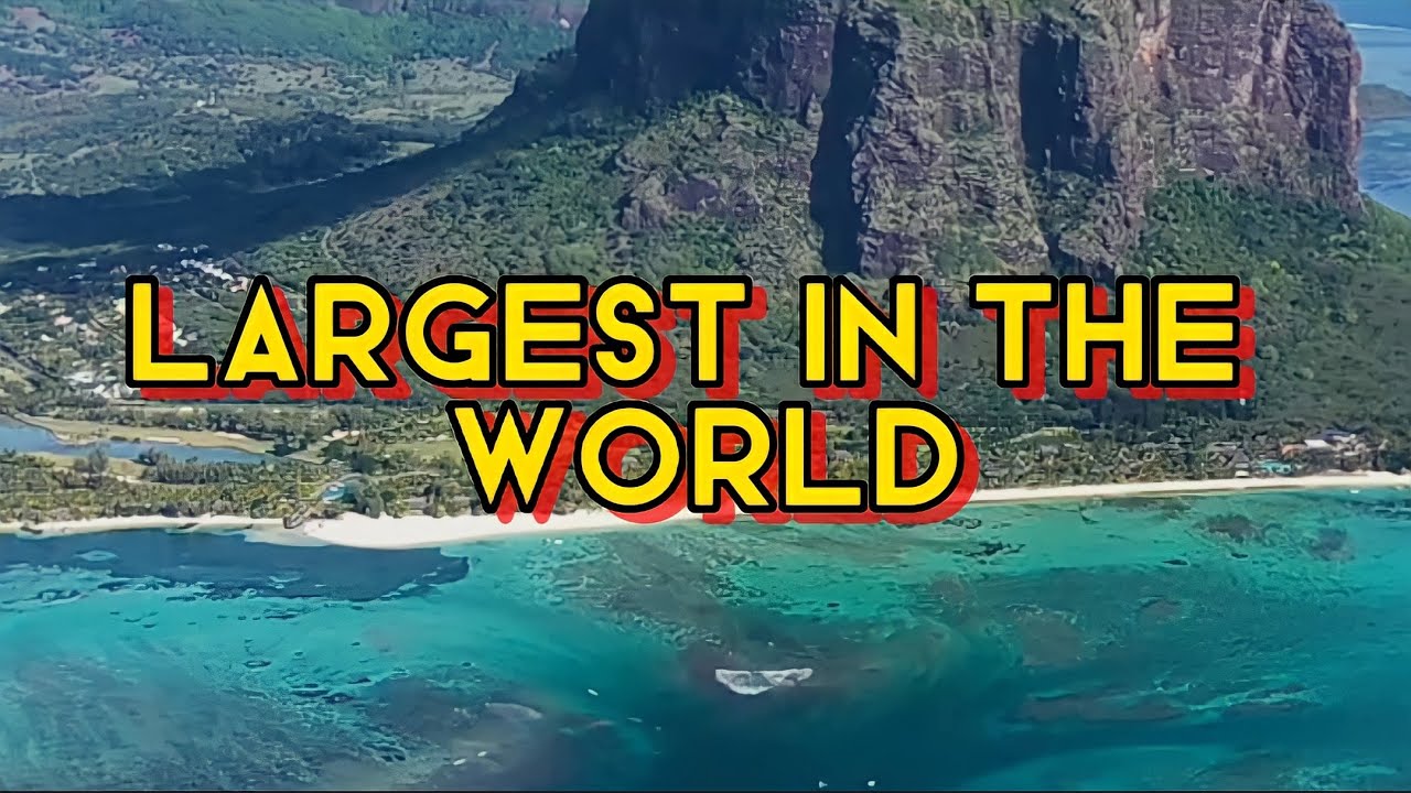 The Biggest Things In The World!🙀🙂
