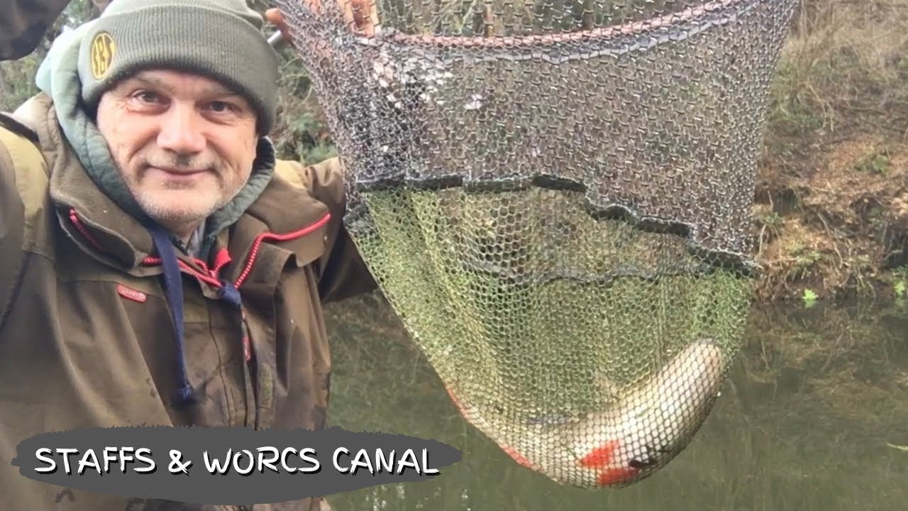 🎣 Fishing the Staffs & Worcs Canal and it’s a case of quality over quantity #fishing #perchfishinguk