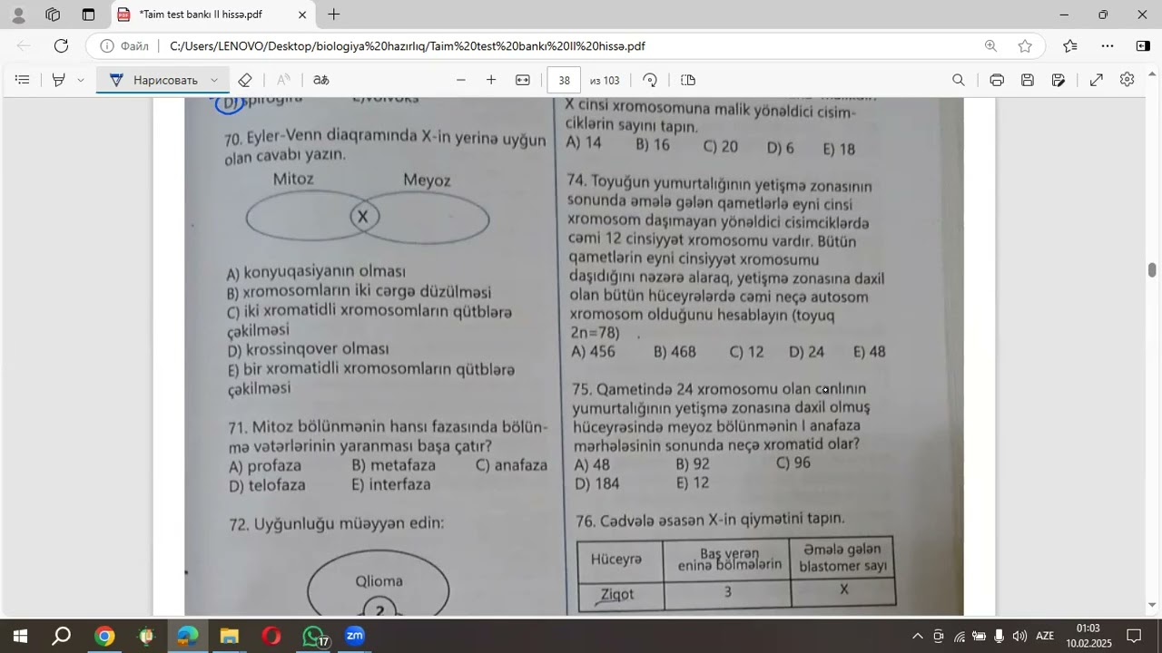 Taim test toplusu- Ontogenez 51-100 sualların izahı