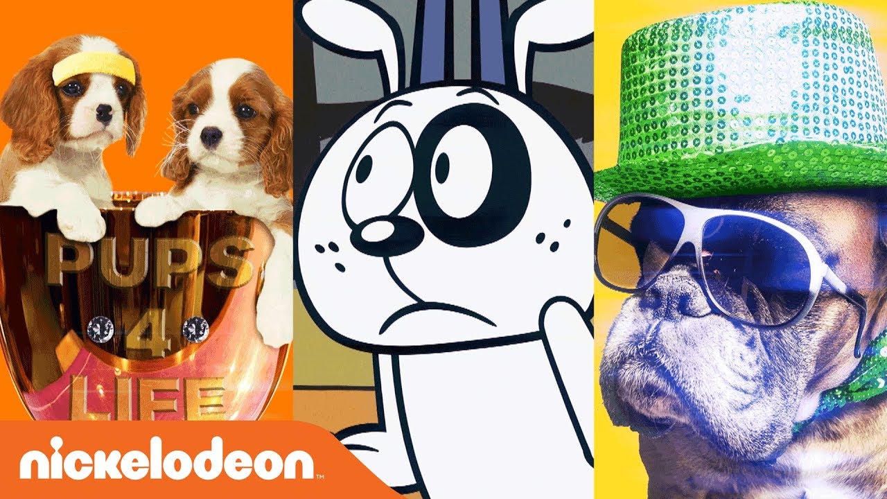 ‘Happy National Dog Day’ 🐶   Sing-Along Music Video w/ SpongeBob, TMNT & More! | #MusicMonday