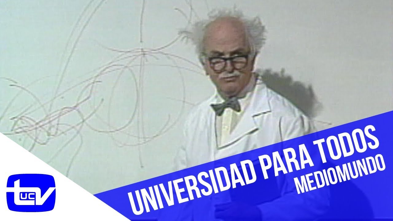 Los profesores de la Universidad para todos | Mediomundo