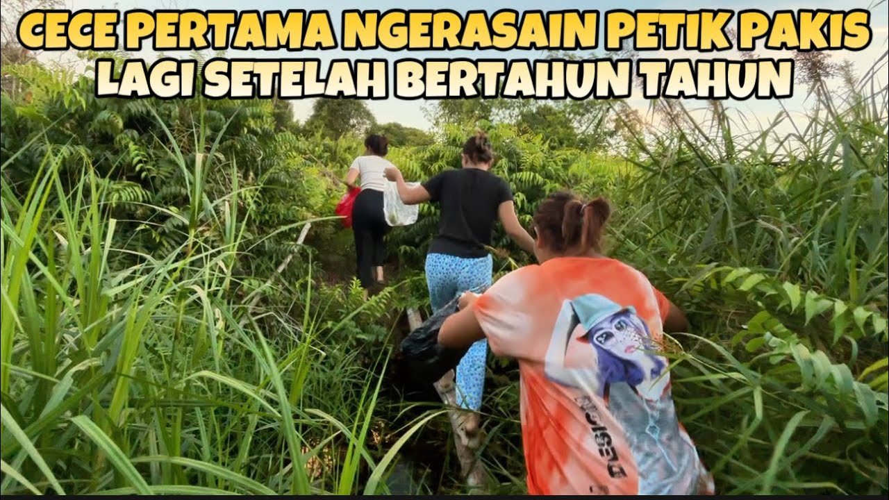 ADIK KAKAK CARI SAYUR PAKIS DI SORE HARI,LANJUT MASAK DI KEESOKAN HARINYA