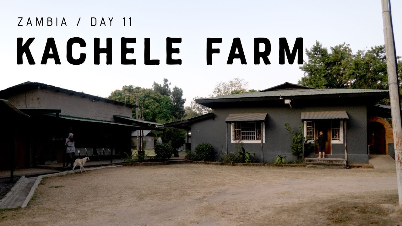 Kachele Farm // Zambia Missions // Day 11