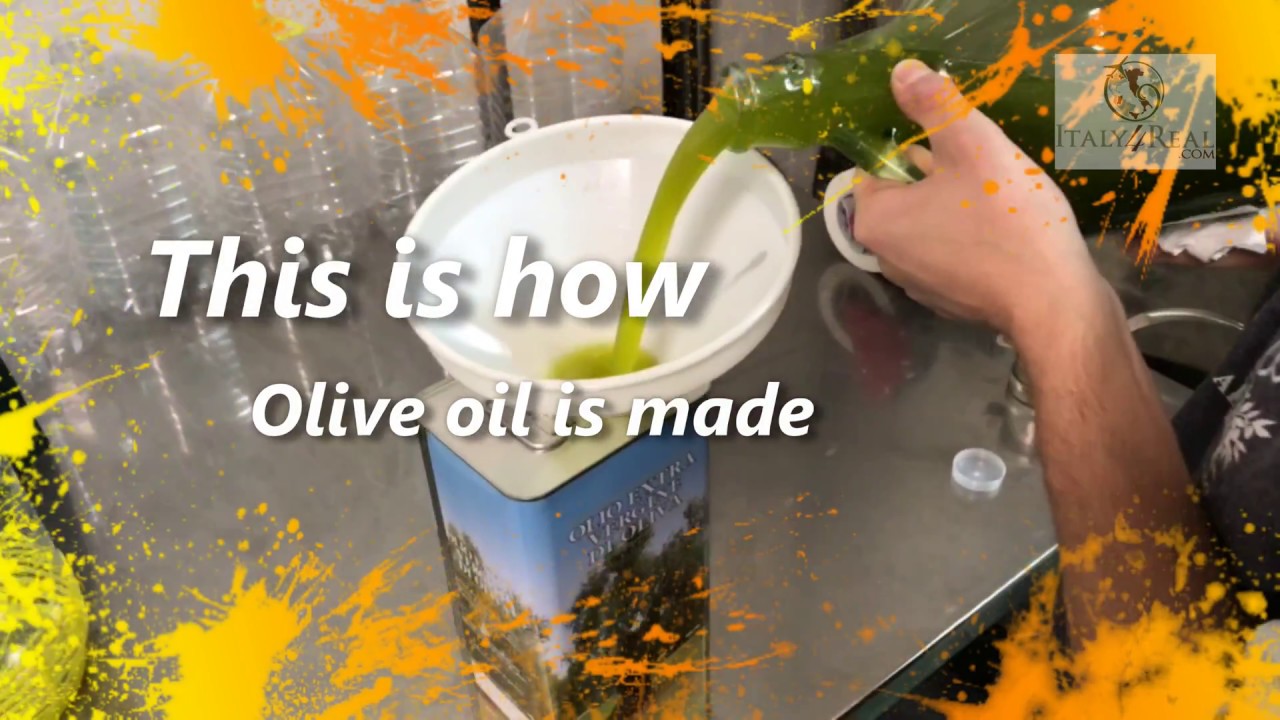 How do they make Extra Virgin Olive Oil ?