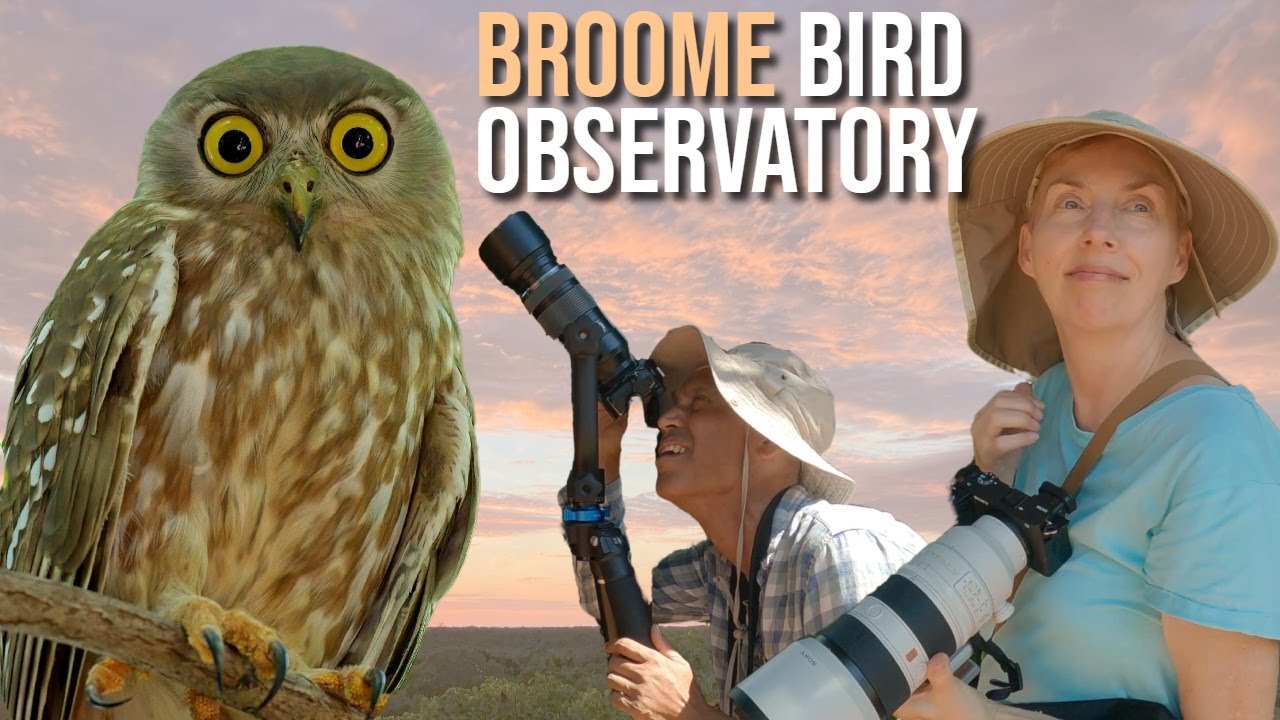 Want to see More Birds? Visit this Dirt Road