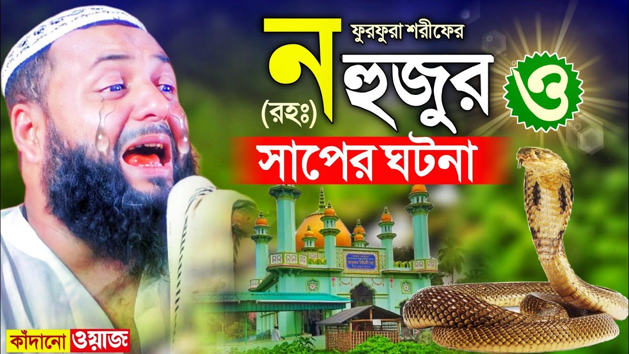 ন'হুজুর ও সাপের আশ্চর্য ঘটনা┇কলিজা কাঁপানো ওয়াজ┇হাফেজ হেজবুল্লাহ আকুঞ্জী ওয়াজ┇hejbullah akunji waz.