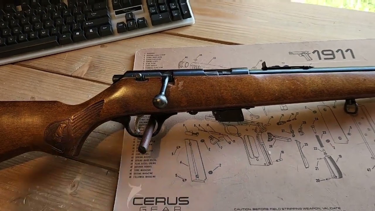 22cal. bolt action  glenfield model 25