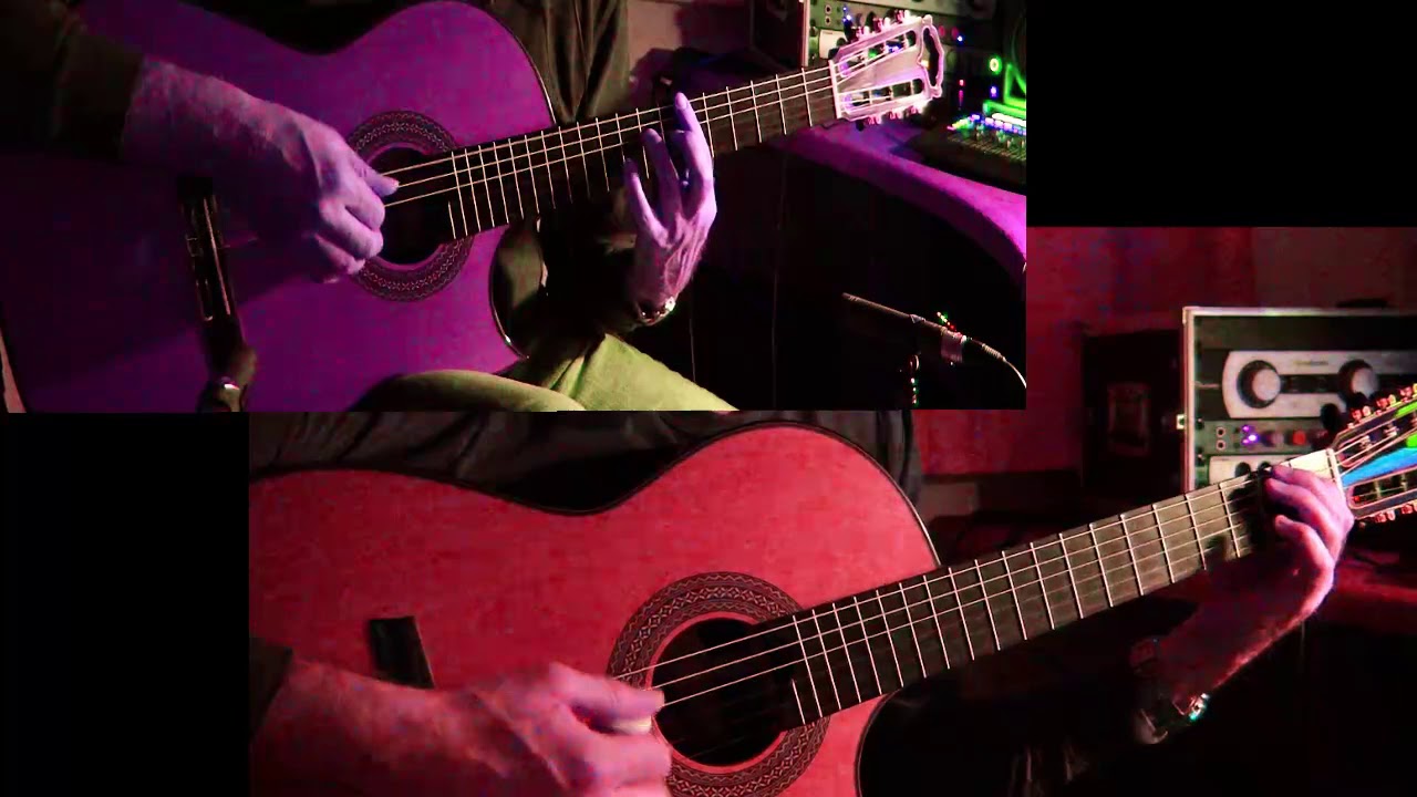 The Dolphin played by Bernd Greifeneder